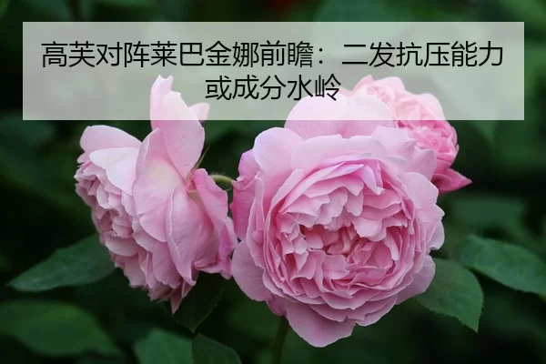 gao-fu-dui-zhen-lai-ba-jin-na-qian-zhan-er-fa-kang-ya-neng-li-huo-cheng-fen-shui-ling-2-608.jpg