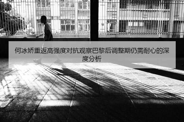 he-bing-jiao-chong-fan-gao-qiang-du-dui-kang-guan-cha-ba-li-hou-tiao-zheng-qi-reng-xu-nai-xin-de-shen-du-fen-xi-2-340.jpg