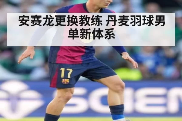 安赛龙更换教练 丹麦羽球男单新体系